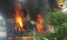 Bus in fiamme. Non ci sono feriti