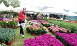 Piazza XX Settembre si copre di fiori