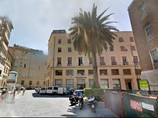 Il punteruolo rosso continua a colpire