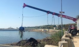 Pulizia straordinaria della spiaggia del Felciaio