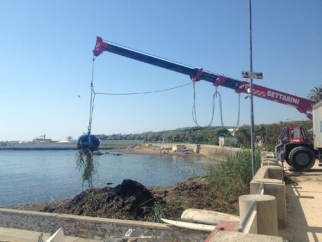 Pulizia straordinaria della spiaggia del Felciaio