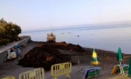 Al via la seconda fase della rimozione della posidonia dalle spiagge cittadine