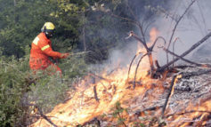 Rischio incendi, prorogato fino al 13 settembre il divieto di abbruciamento