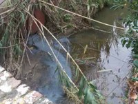 Presenza di acque nere nel Rio Cignolo. Interviene l’ARPAT