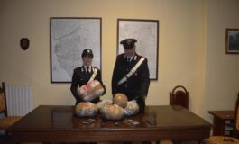 Droga nei sacchi della spazzatura. Arrestati 2 albanesi