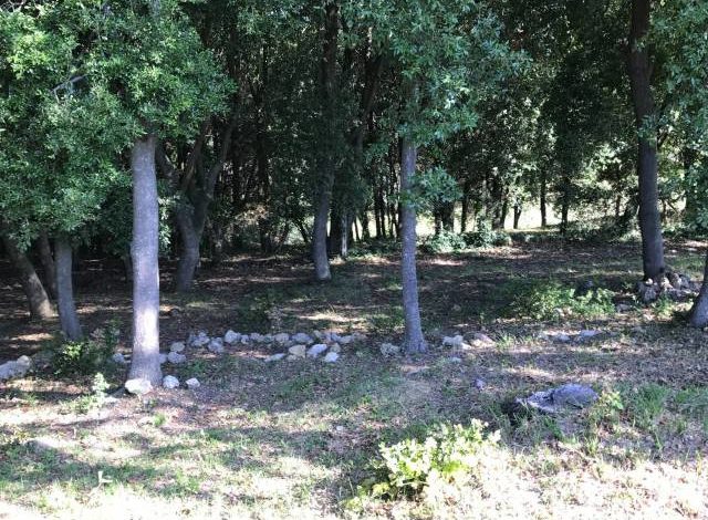 Si perdono nel bosco. Paura per due 18enni