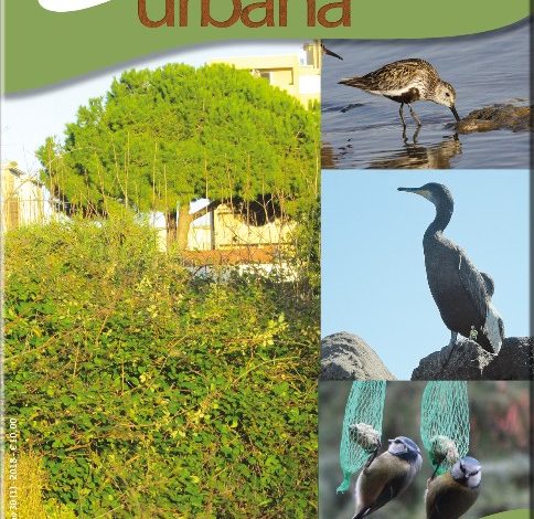 Ecologia urbana, la rivista nata a Livorno compie 30 anni