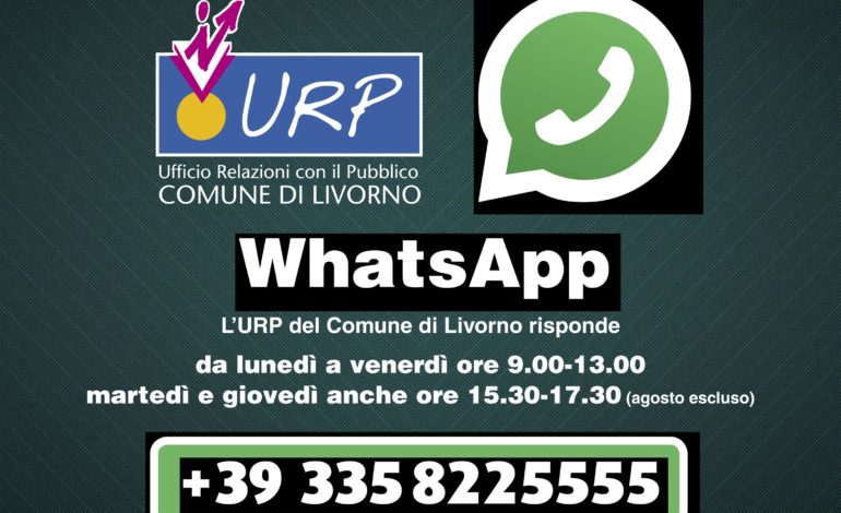 Al via il nuovo servizio WhatsApp del Comune