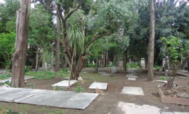 Crollo di alberi al cimitero olandese: ingenti i danni
