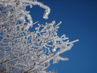 Emergenza freddo: ecco il piano
