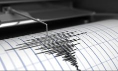 Scossa di terremoto 3.3 a sud di Livorno