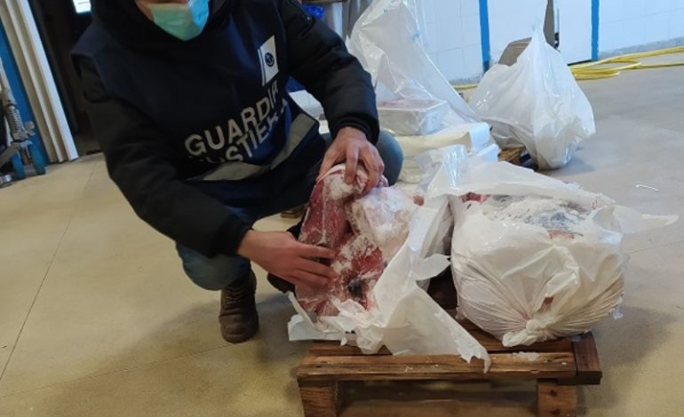 Sequestrate 3 tonnellate di prodotti ittici