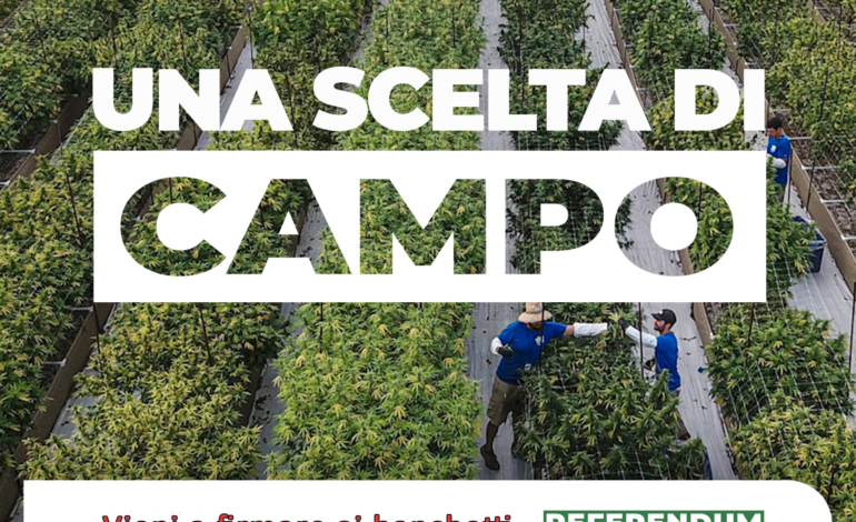 Cannibas legale, si firma per il referendum