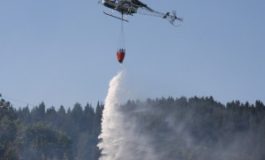Chioma: a fuoco ettari di macchia mediterranea