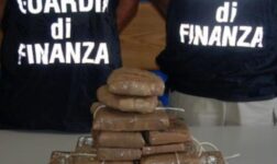 Droga, sequestrati in porto 53 kg di cocaina nascosti in un container. (Video)