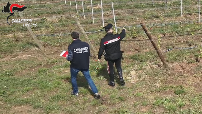 Caporalato a Livorno,10 arresti: lavoro nei campi pagato meno di un euro l’ora