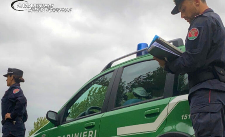 Tre persone denunciate per gestione illecita di rifiuti all’isola d’Elba