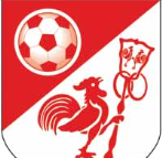Forlì, prossimo avversario del Livorno