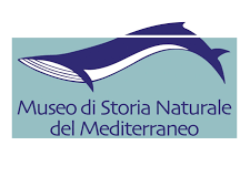 Epifania, caccia al tesoro per bambini al Museo del Mediterraneo