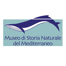 Epifania, caccia al tesoro per bambini al Museo del Mediterraneo