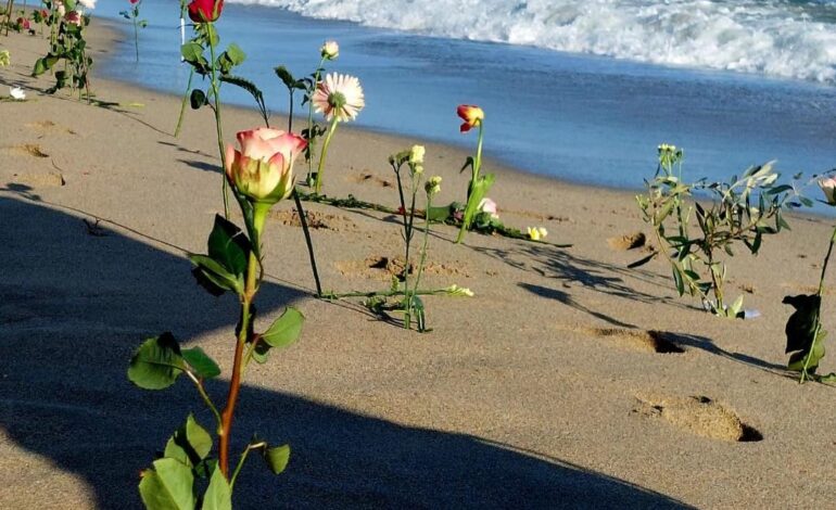 Crotone e Livorno, un ponte di memoria nel nome di Sara e Alì: 94 alberi per le vittime di Cutro