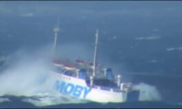 Allerta meteo, cancellate le corse Olbia–Livorno: disagi per i collegamenti marittimi