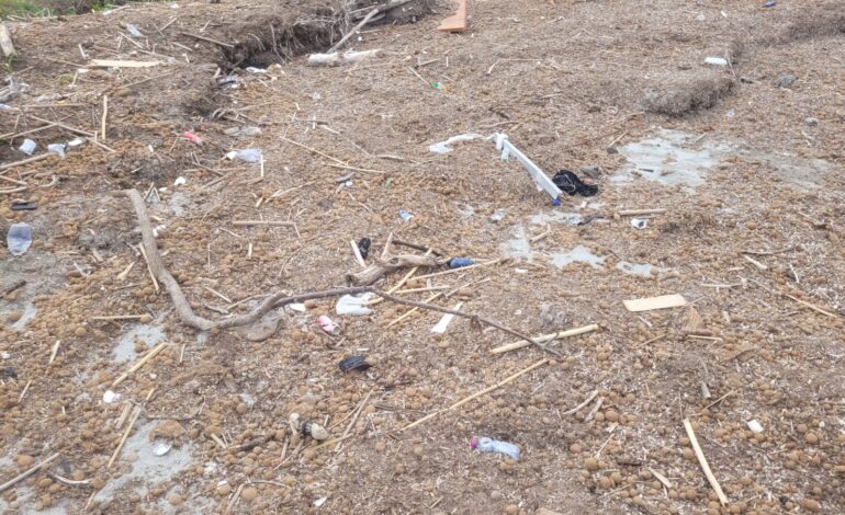 Livorno, quasi 9 chili di plastica raccolti allo Scoglio della Regina: nuovo intervento di Mr. Green