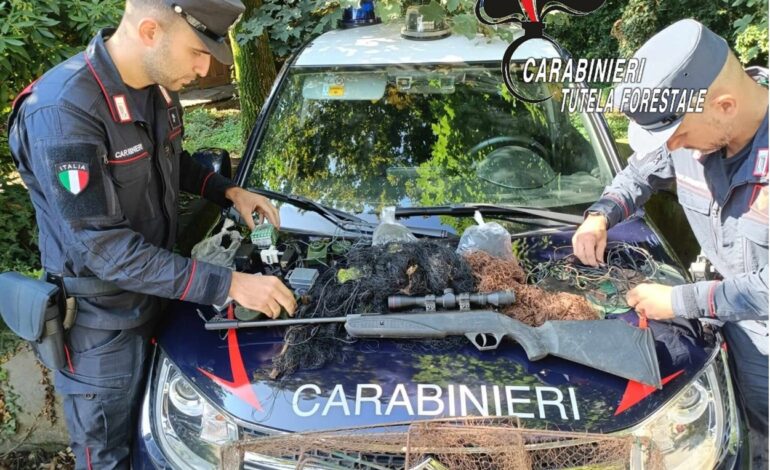 Livorno, bracconaggio nei poderi: scoperta gabbia-trappola per cinghiali