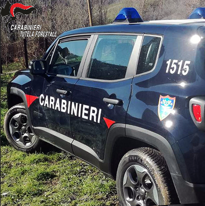 Rogo vicino al bosco, denunciato un uomo nel Livornese