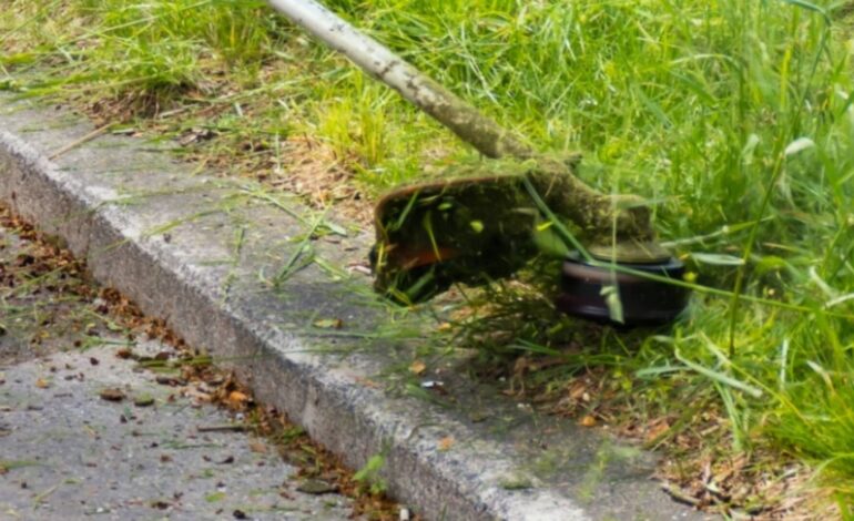 Erbe infestanti, l’Amministrazione sperimenta un diserbante naturale