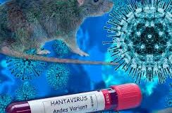 Hantavirus, Giani rassicura: “Nessun allarmismo”