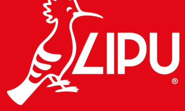 Lipu, Pec a Comune e Frangerini su orti via Goito: "Questo terreno ha bisogno soltanto di essere lasciato in pace"