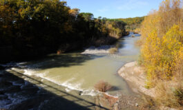Rischio idraulico, Amadio (FdI): “Certezze sulla messa in sicurezza del fiume Cecina e del ponte di via Volterra”