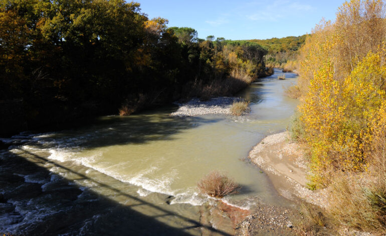 Rischio idraulico, Amadio (FdI): “Certezze sulla messa in sicurezza del fiume Cecina e del ponte di via Volterra”